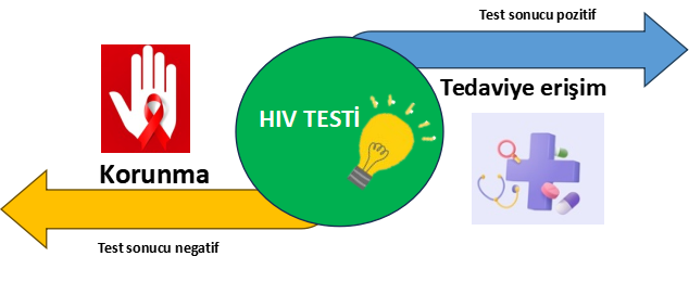 HIV testinin pozitif ve negatif sonuçlarını gösteren diyagram